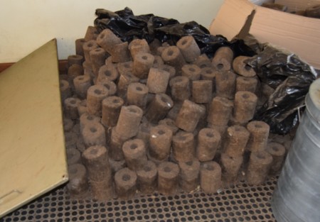 Let’s preserve trees