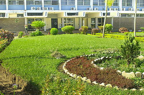 Environmental Stewardship