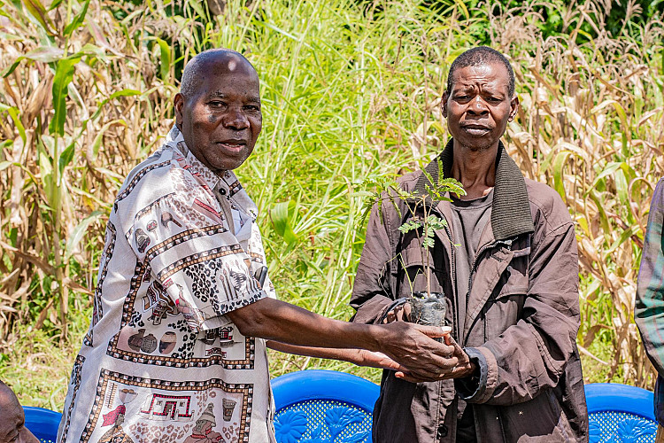 Professor Kanyama Phiri (left) launches tree planting exercise at MUBAS Nanjiri Campus