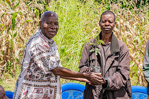 MUBAS for natural solutions to address natural problems through tree planting